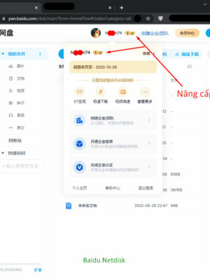 Nâng SVIP Baidu