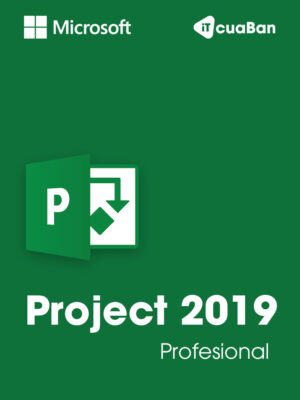 Microsoft Project 2019 profesional